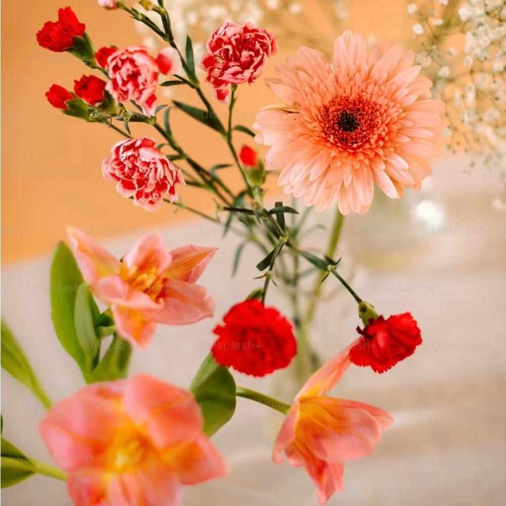 Meet your Posher, Helen